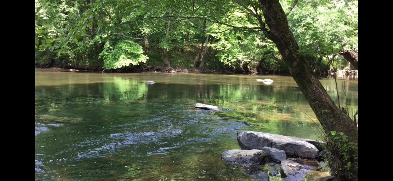 Sunlight on a woodland river surrounded by leafy trees